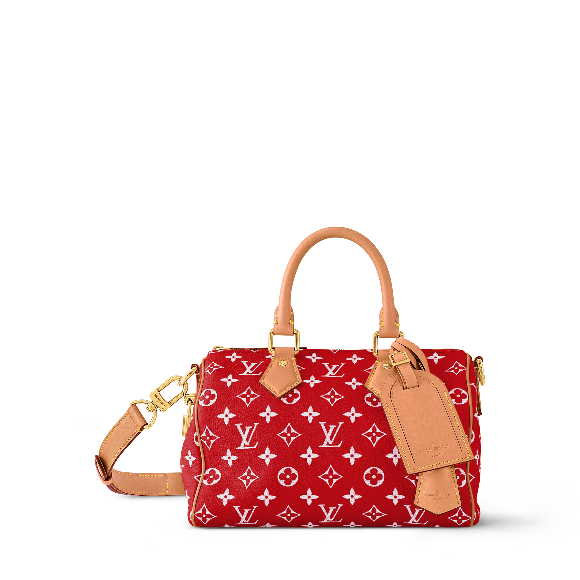 Speedy P9 25 Bandoulière de Couro com Monogram H40 - Bolsas e